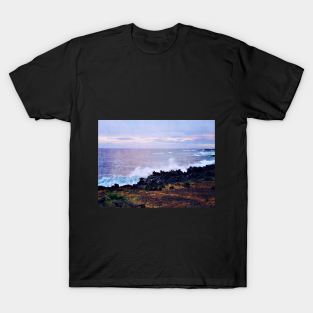 Hawaiian Coast V3 T-Shirt